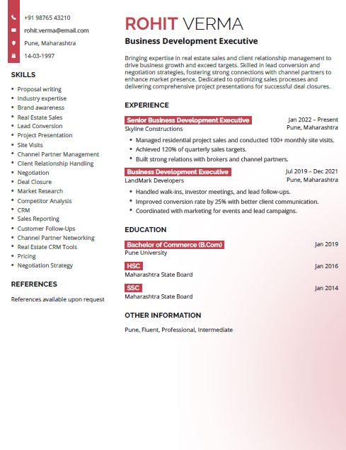 Business Development Executive Resume Format Free Download in Word