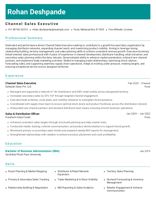 Channel Sales Executive Resume Format and Template in Word