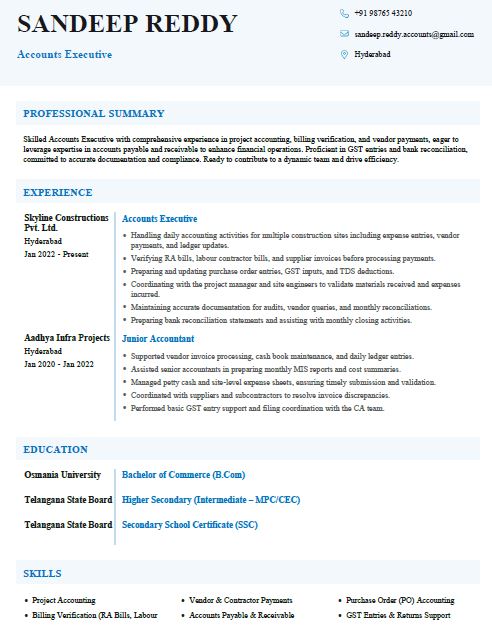 Construction Accounts Executive Resume Example and Template in word