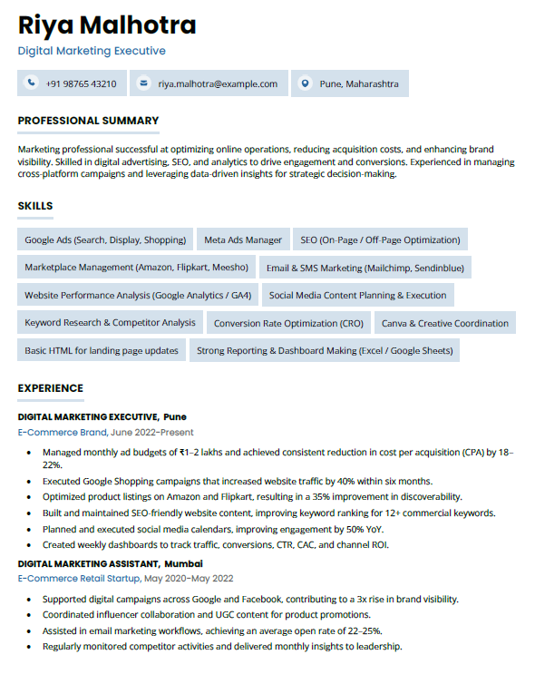 Ecommerce Digital Marketing Executive Resume template and sample in Word