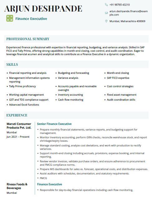 FMCG Finance Executive resume sample and template in word