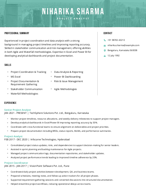 Project Analyst Resume Format and Template in Word