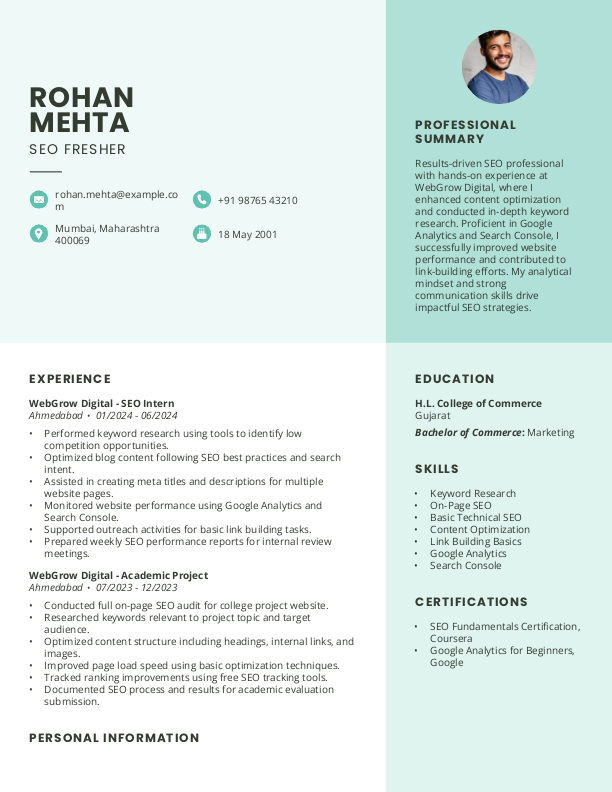 SEO Fresher Resume example to Download & Edit in Word