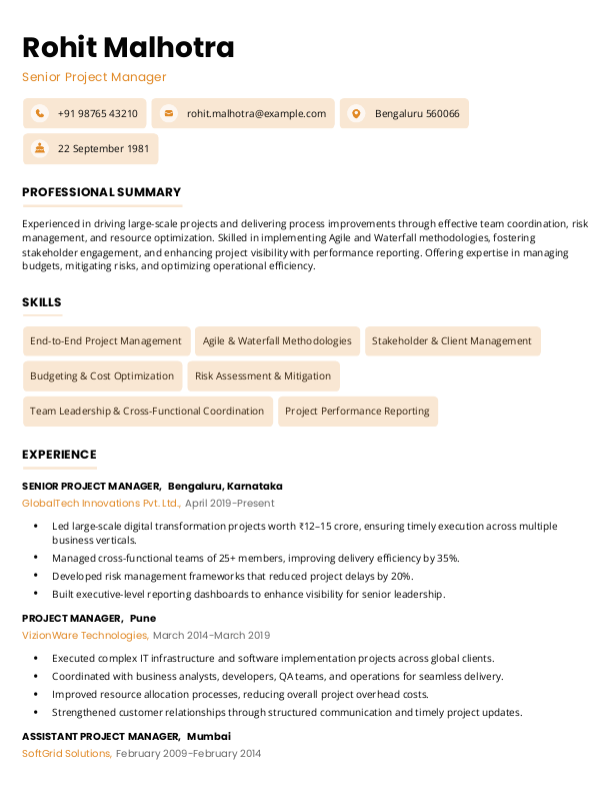Senior Project Manager Resume Format and Template in Word