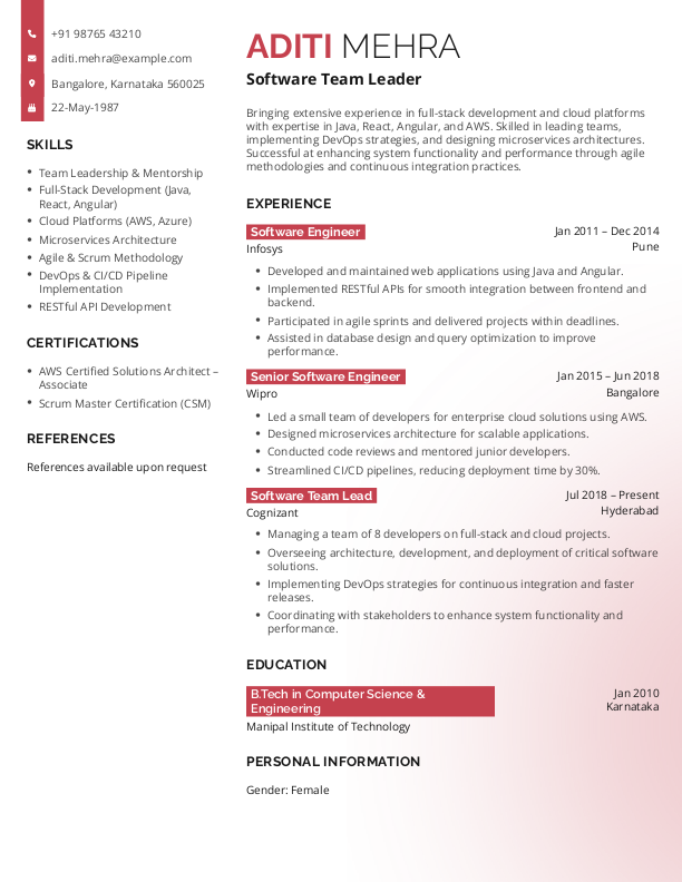 Software Team Lead Resume Format Free Download in Word