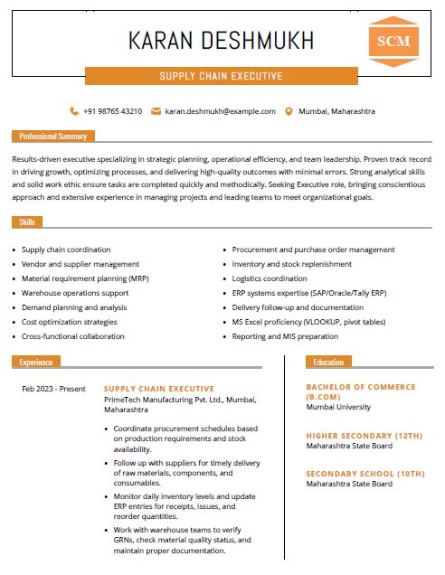 Supply Chain Executive Resume Format Free Download in Word