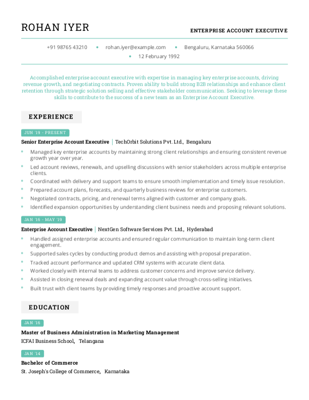 Enterprise Account executive Resume format in Word - Free Download
