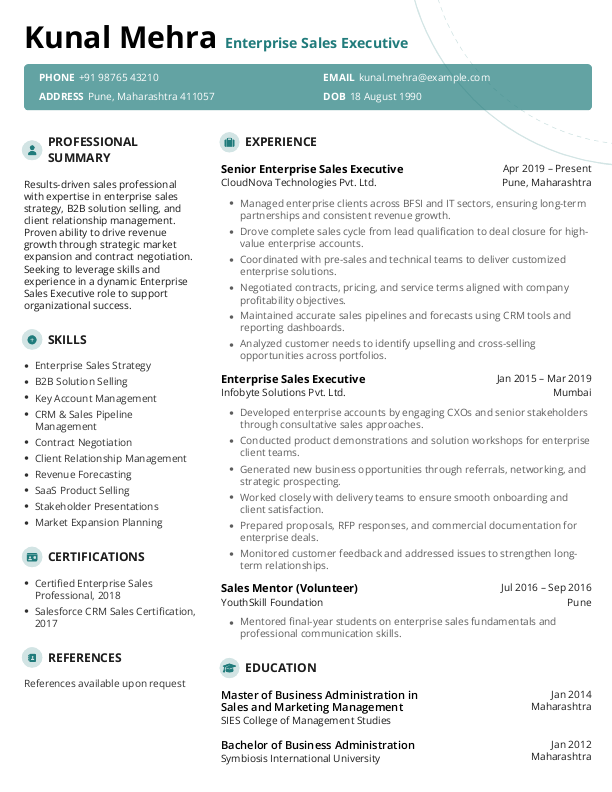 Enterprise Sales Executive Resume format in Word - Free Download