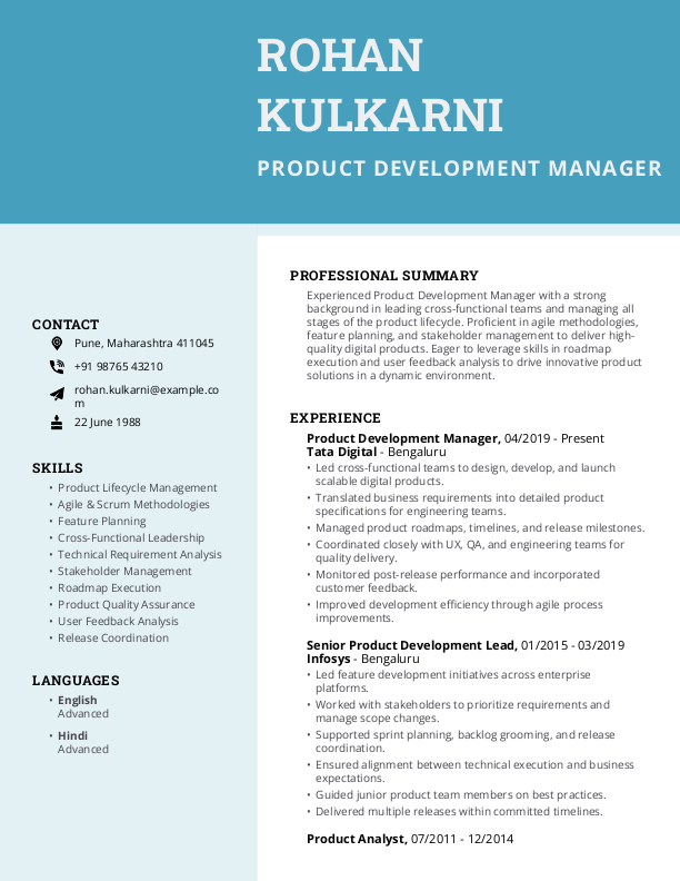 Product Development Manager Resume format in Word - Free Download