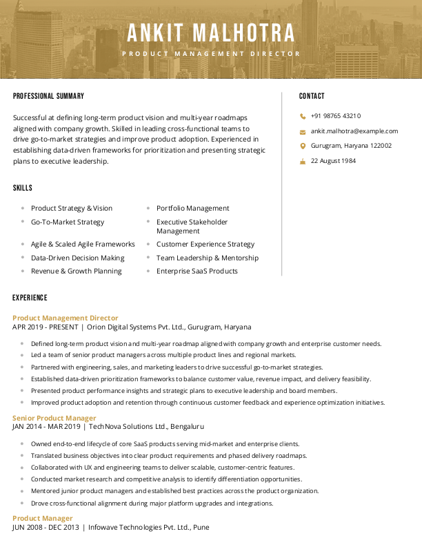 Product Management Director Resume format in Word - Free Download