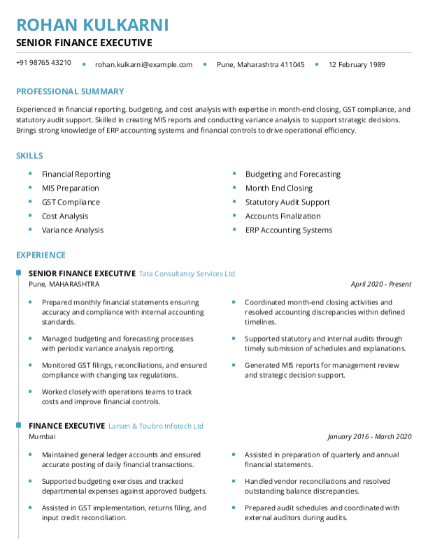 Senior Finance Executive Resume format in Word - Free Download