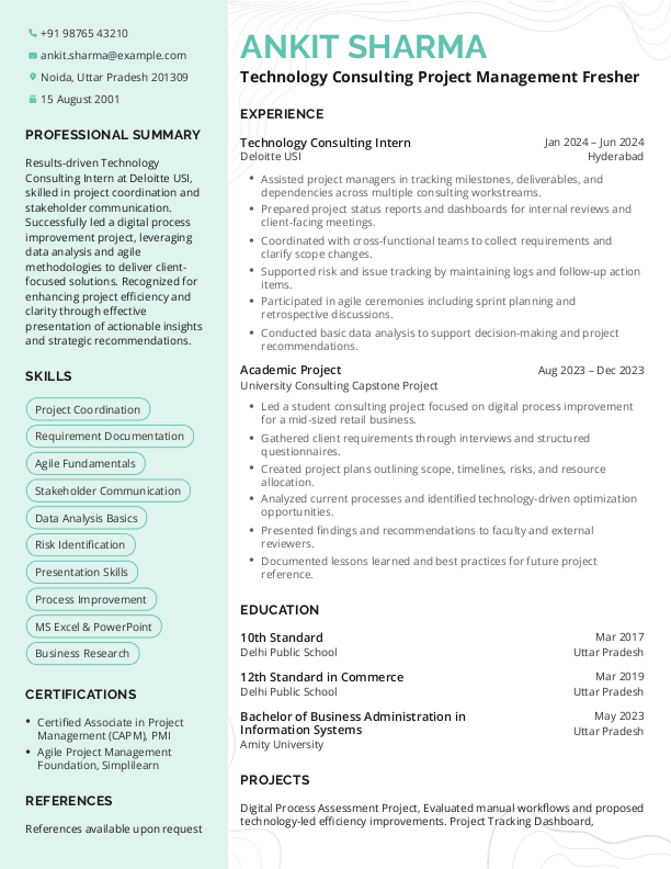 Technology Consulting Project Management Fresher Resume format in Word - Free Download