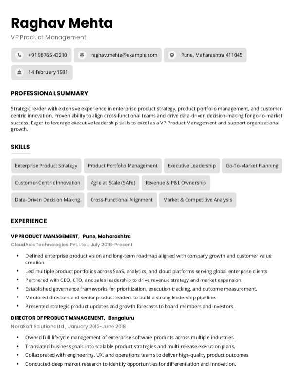 VP Product Management Resume format in Word - Free Download
