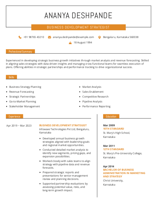 Business Development Strategist Resume format in Word - Free Download