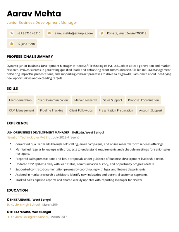 Junior Business Development Manager Resume format in Word | Free Download