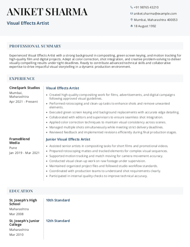 Visual Effects Artist Resume format in Word - Free Download